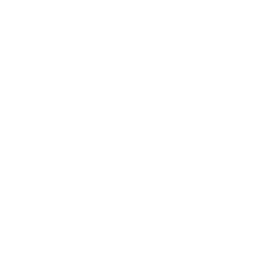 Icon LMS